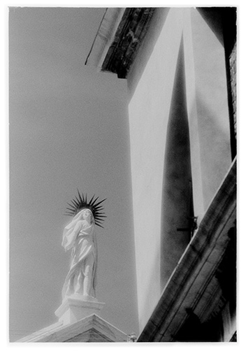 Night Blooming Cereus by Vallarie Enriquez